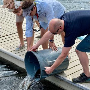 Trout seeding spring 2021